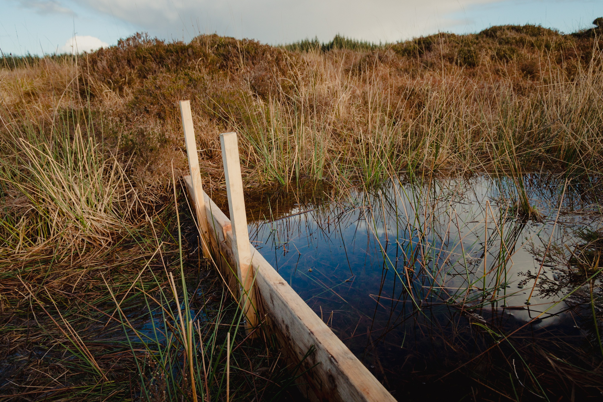 Timber Dams — 1